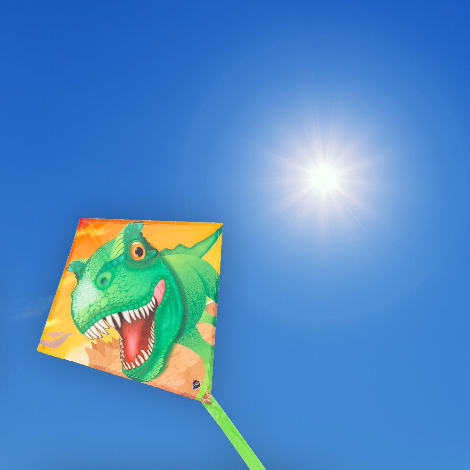 Kinderdrachen HQ Mini Eddy | kleiner Kinderdrache 40 cm flugfertig montiert | Drachen für Kleinkinder