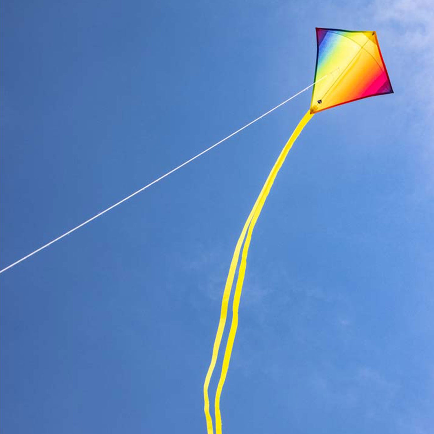 Kinderdrachen HQ Mini Eddy | kleiner Kinderdrache 40 cm flugfertig montiert | Drachen für Kleinkinder