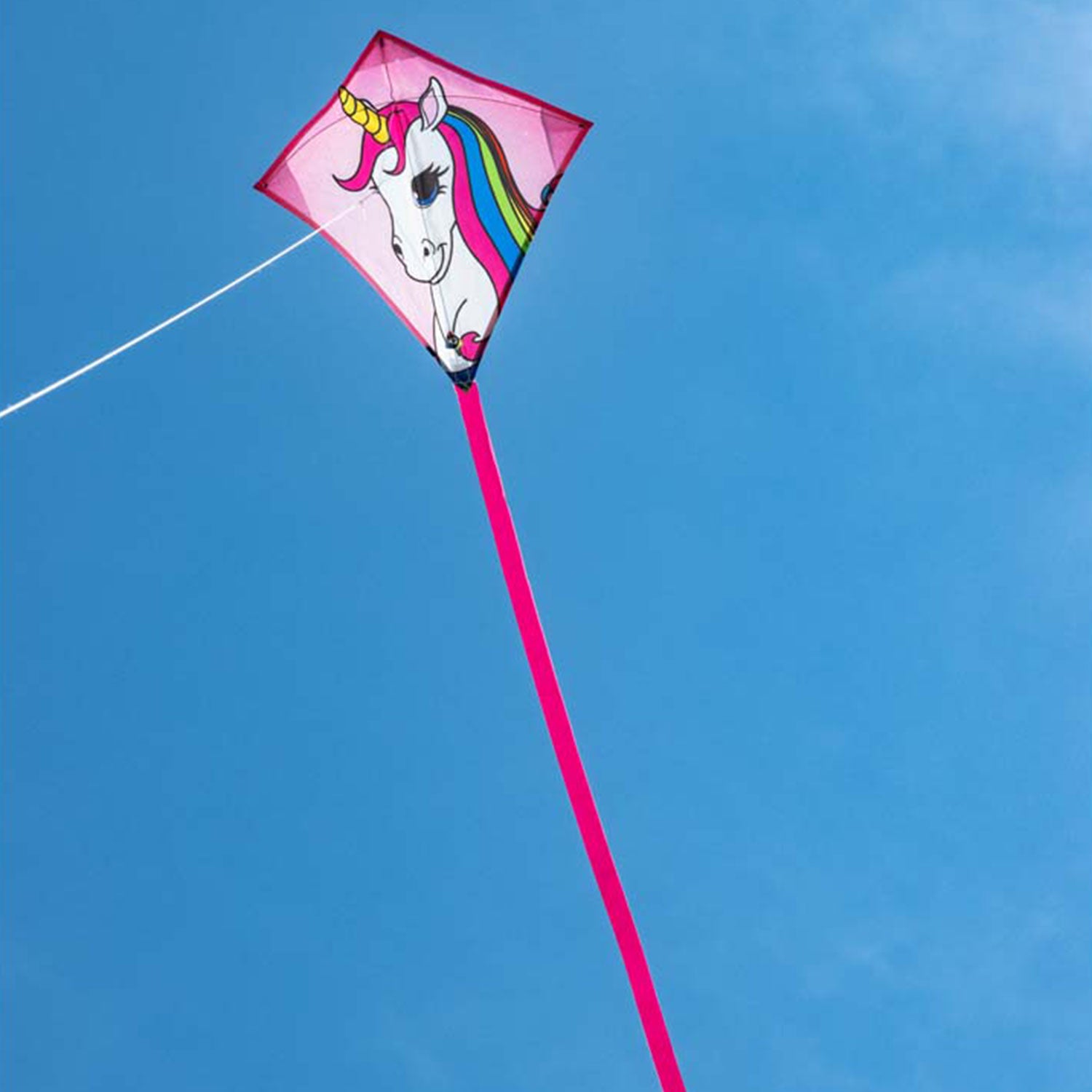 Kinderdrachen HQ Mini Eddy | kleiner Kinderdrache 40 cm flugfertig montiert | Drachen für Kleinkinder