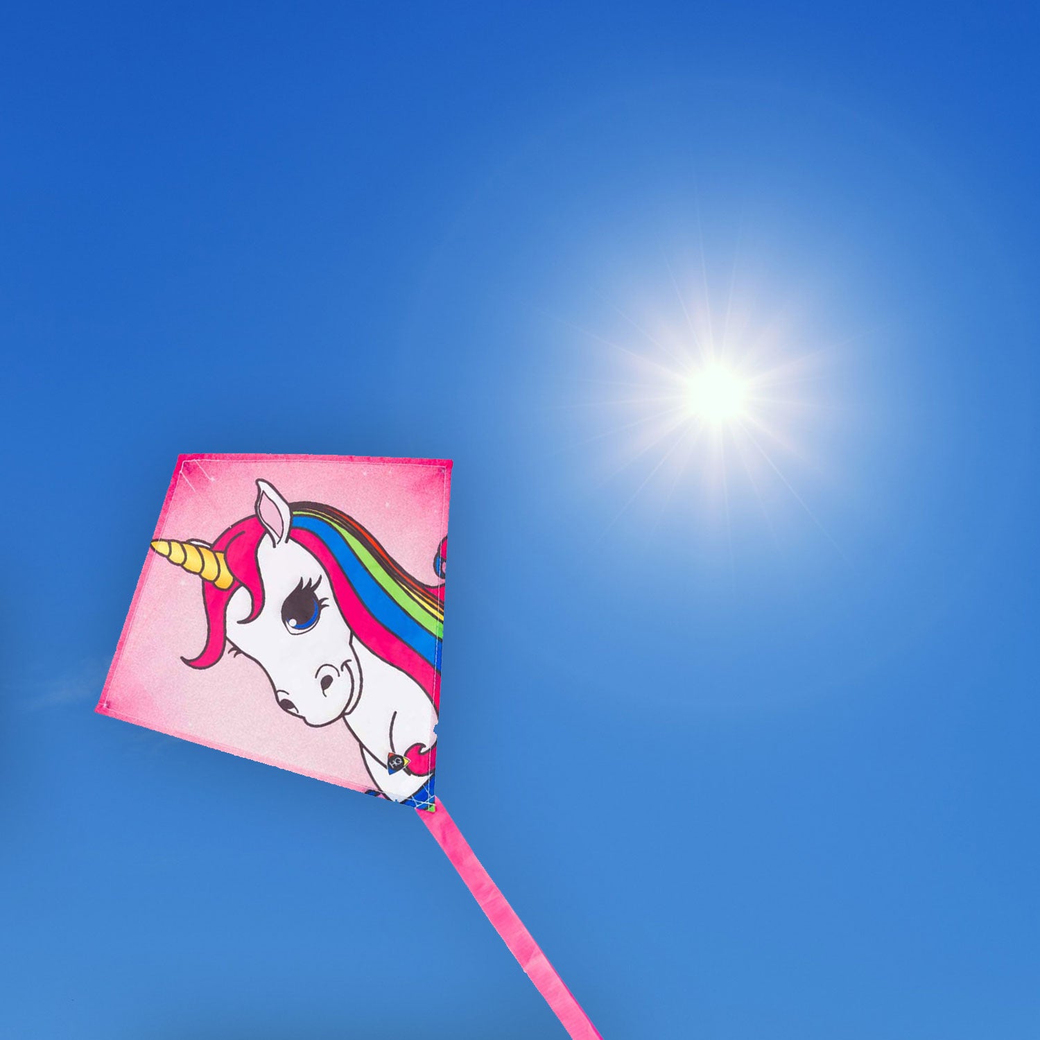 Kinderdrachen HQ Mini Eddy | kleiner Kinderdrache 40 cm flugfertig montiert | Drachen für Kleinkinder