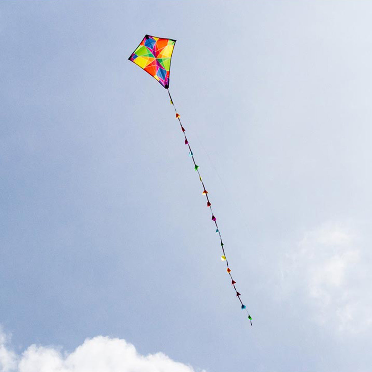 Kinderdrachen HQ Eddy Ecoline | kleiner Kinderdrache 50 cm flugfertig montiert | Drachen für Kleinkinder
