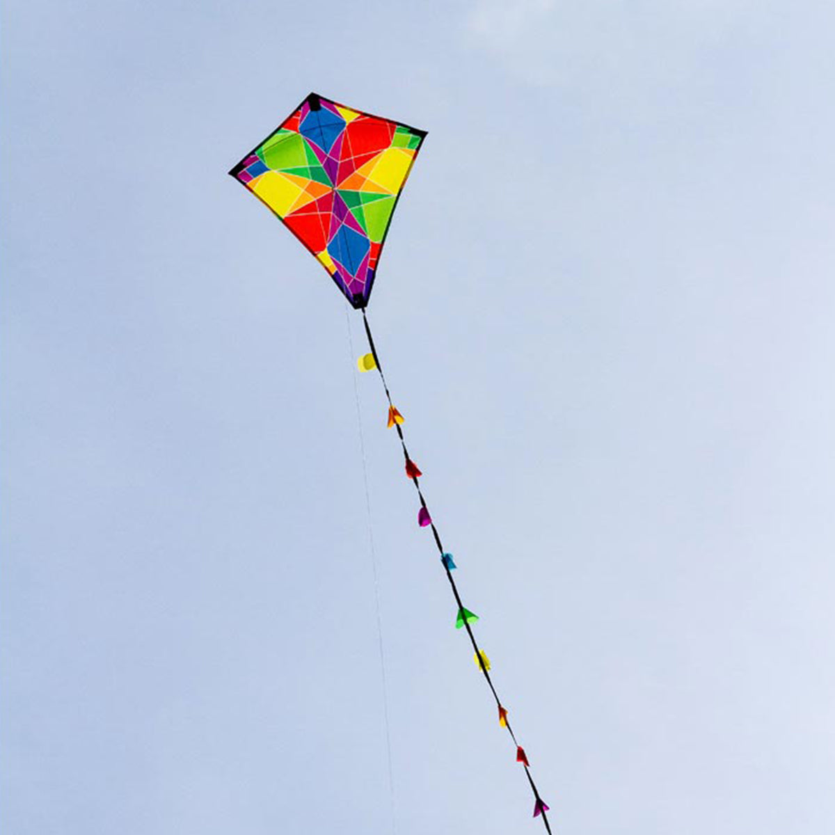 Kinderdrachen HQ Eddy Ecoline | kleiner Kinderdrache 50 cm flugfertig montiert | Drachen für Kleinkinder
