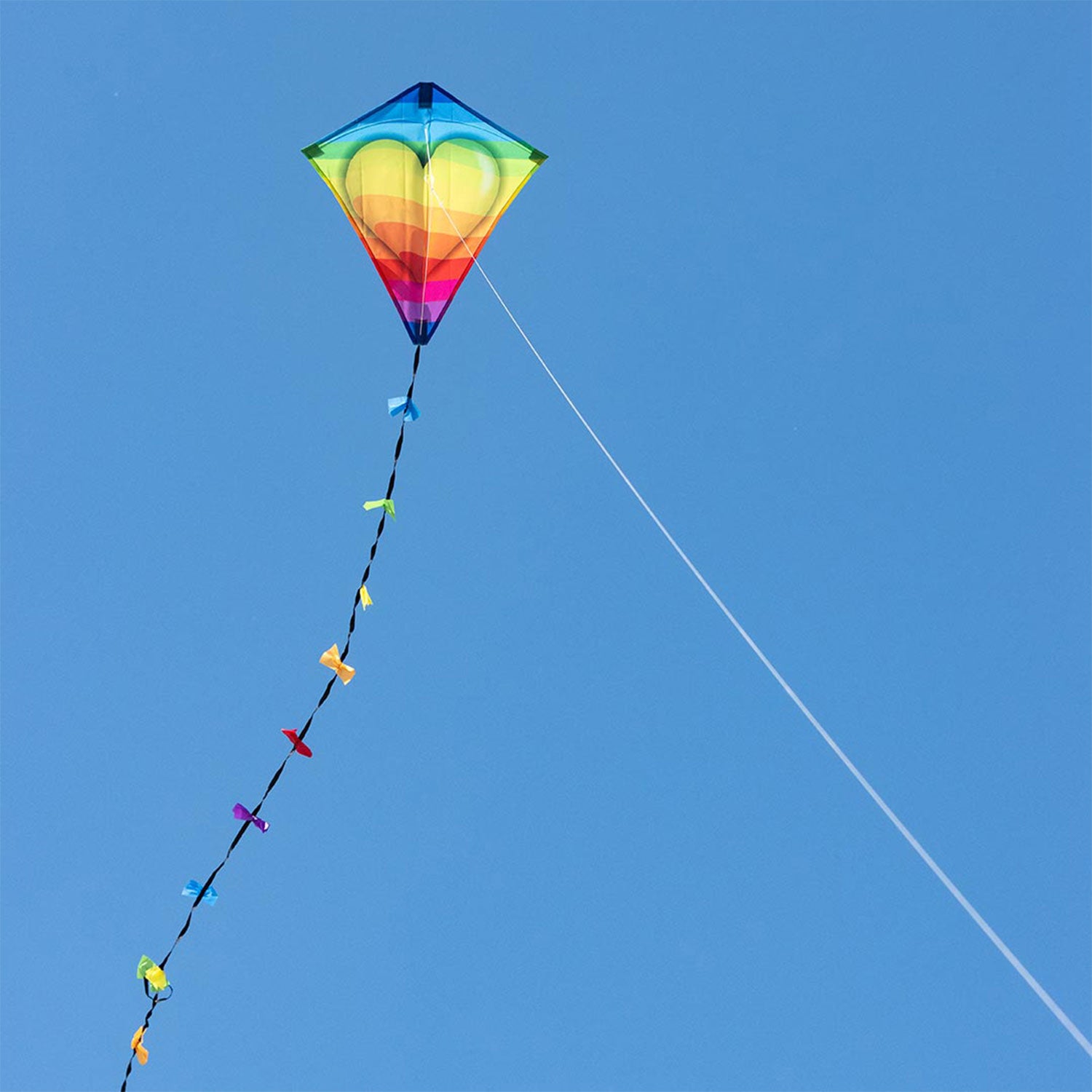 Kinderdrachen HQ Eddy Ecoline | kleiner Kinderdrache 50 cm flugfertig montiert | Drachen für Kleinkinder