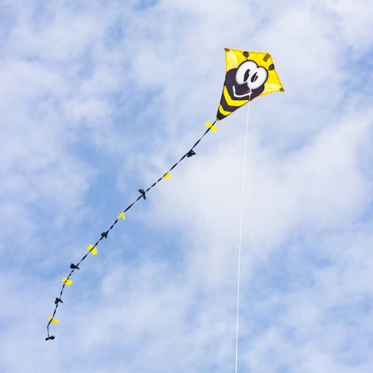 Kinderdrachen HQ Eddy Ecoline | kleiner Kinderdrache 50 cm flugfertig montiert | Drachen für Kleinkinder