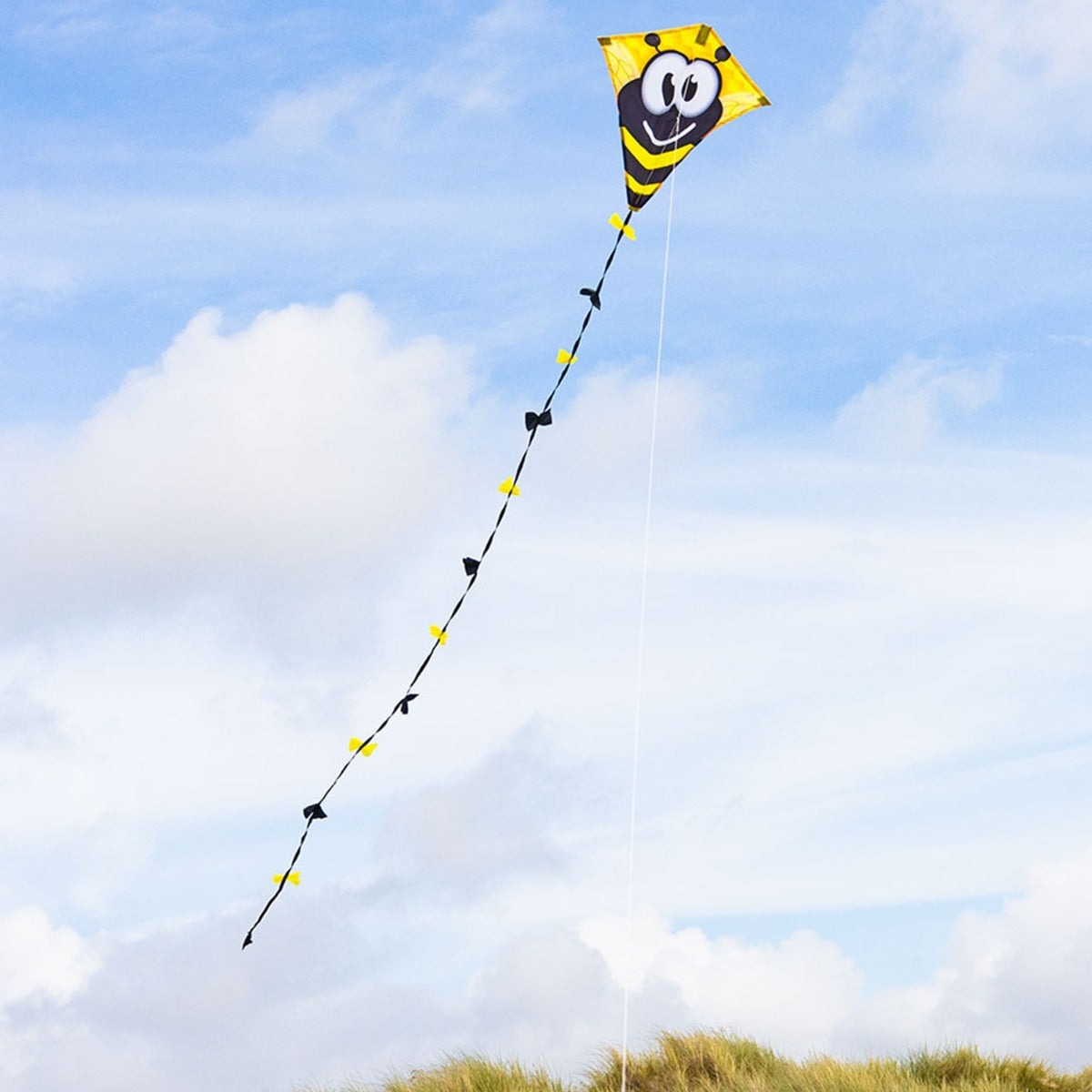 Kinderdrachen HQ Eddy Ecoline | kleiner Kinderdrache 50 cm flugfertig montiert | Drachen für Kleinkinder