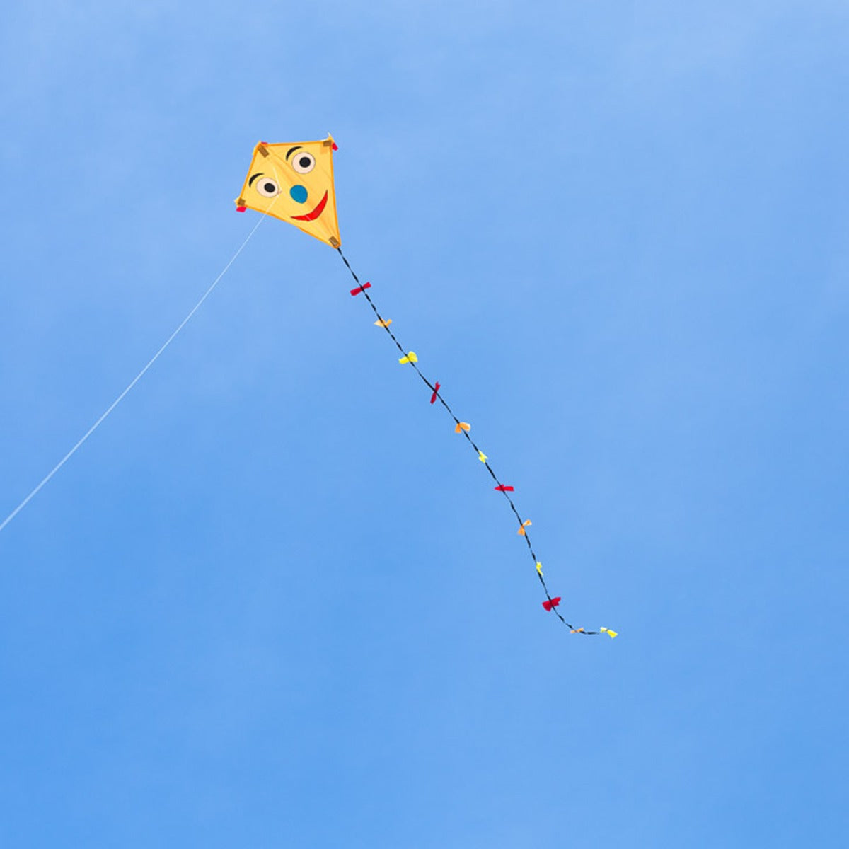 Kinderdrachen HQ Eddy Ecoline | kleiner Kinderdrache 50 cm flugfertig montiert | Drachen für Kleinkinder