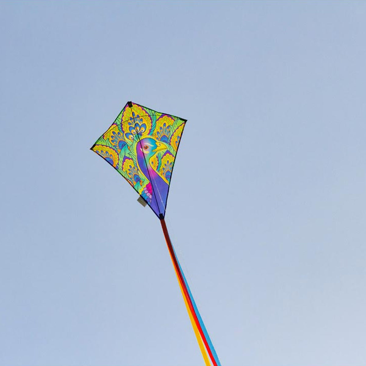 Kinderdrachen HQ Eddy Ecoline | Kinderdrache 70 cm flugfertig montiert | Flug Drachen für Kinder