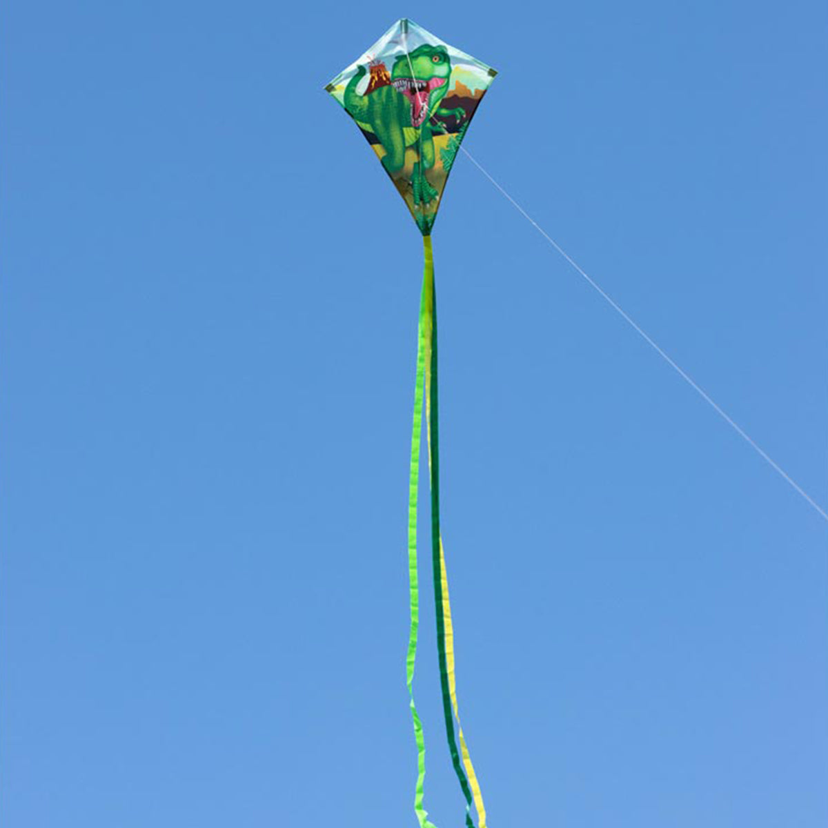 Kinderdrachen HQ Eddy Ecoline | Kinderdrache 70 cm flugfertig montiert | Flug Drachen für Kinder