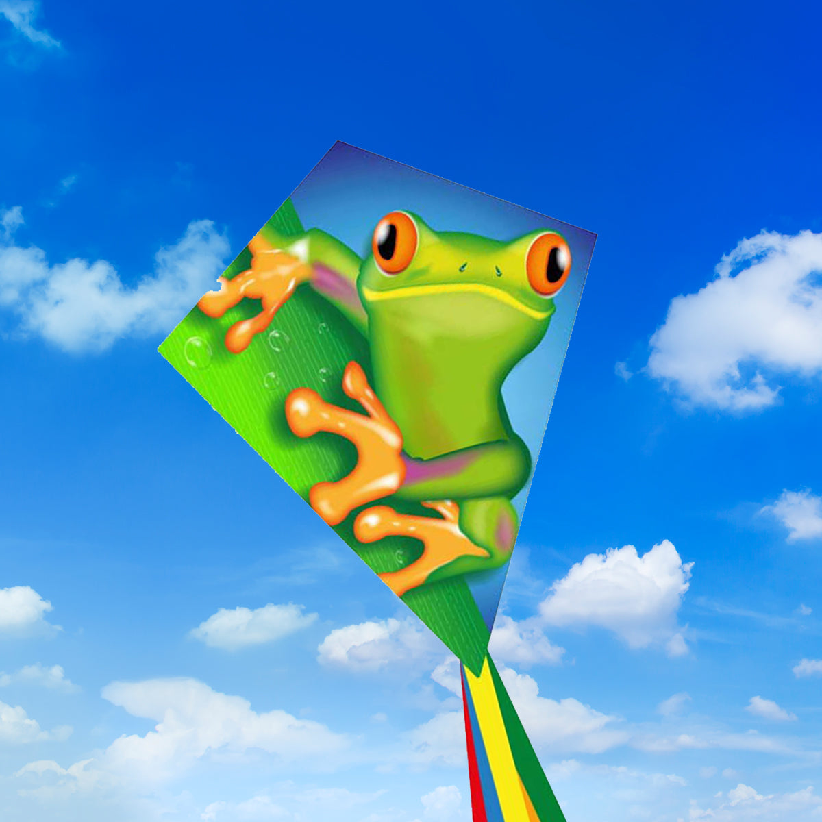 Kinderdrachen HQ Eddy Ecoline | Kinderdrache 70 cm flugfertig montiert | Flug Drachen für Kinder