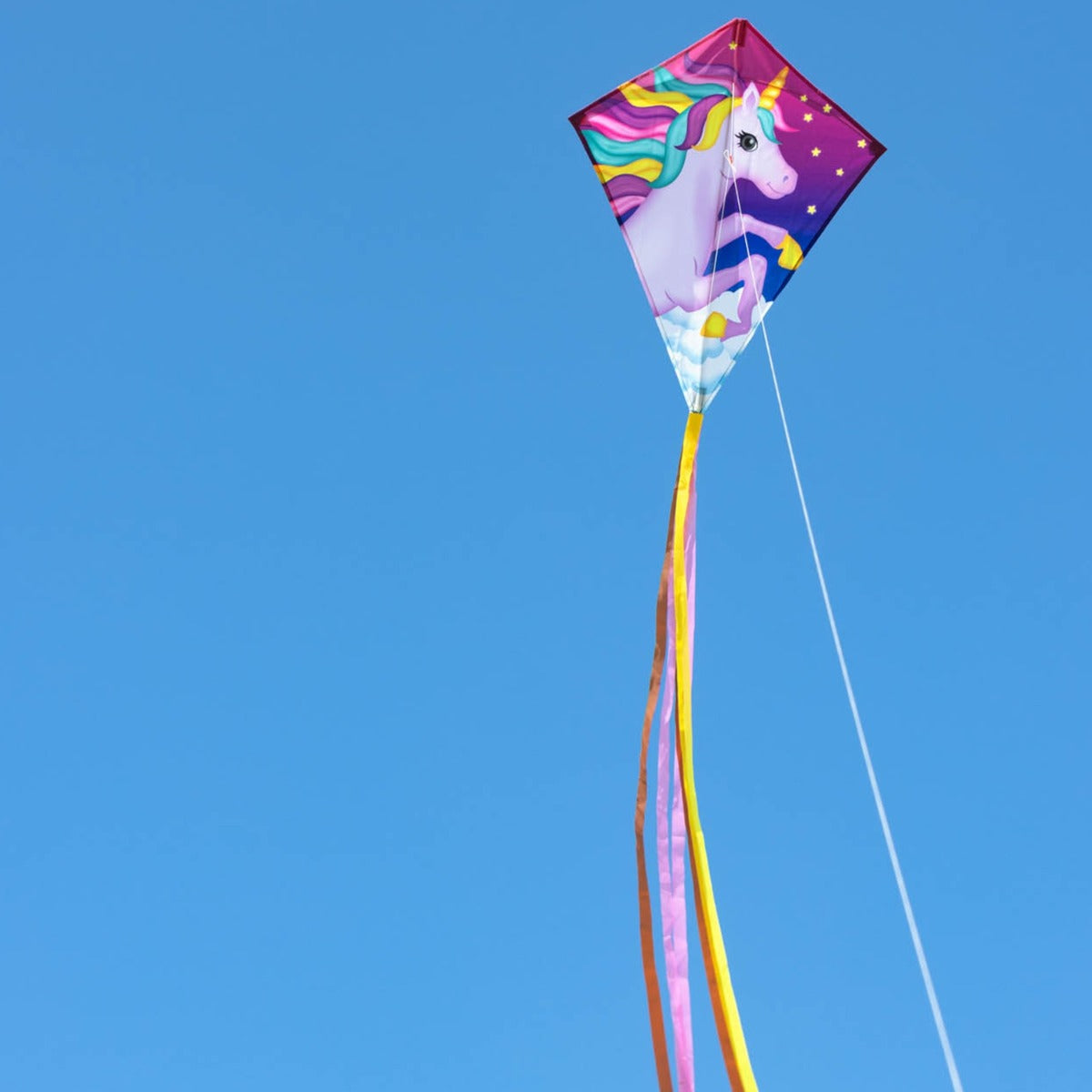 Kinderdrachen HQ Eddy Ecoline | Kinderdrache 70 cm flugfertig montiert | Flug Drachen für Kinder