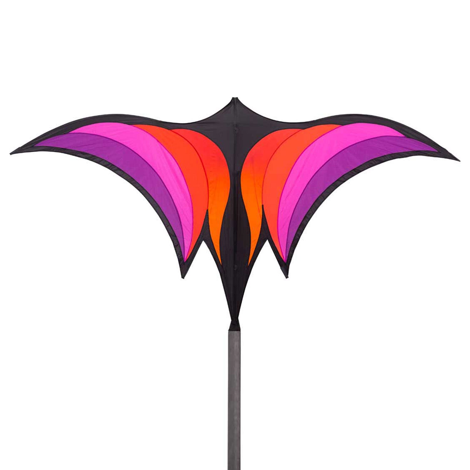 HQ Einleiner Drachen HQ Brasington´s Ravenswing 178 cm