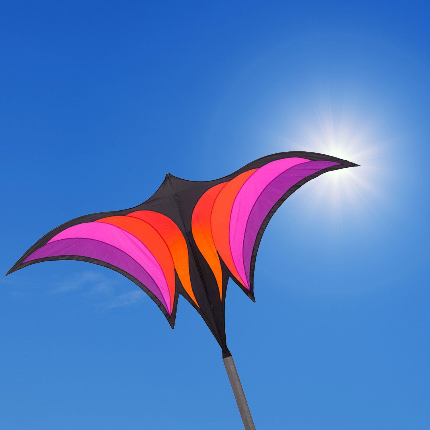 HQ Einleiner Drachen HQ Brasington´s Ravenswing 178 cm