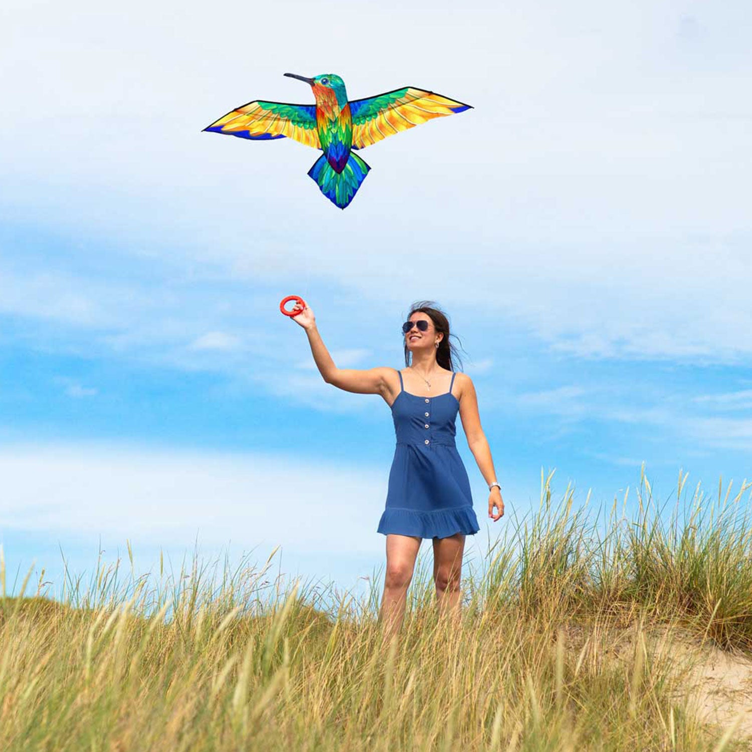 HQ Kinderdrachen Einleiner HQ Bird Kite Hummingbird 175 cm