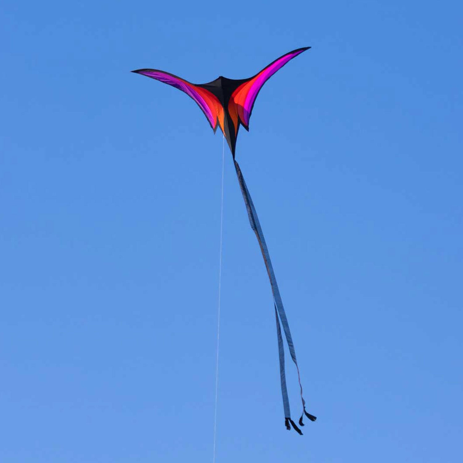 HQ Einleiner Drachen HQ Brasington´s Ravenswing 178 cm