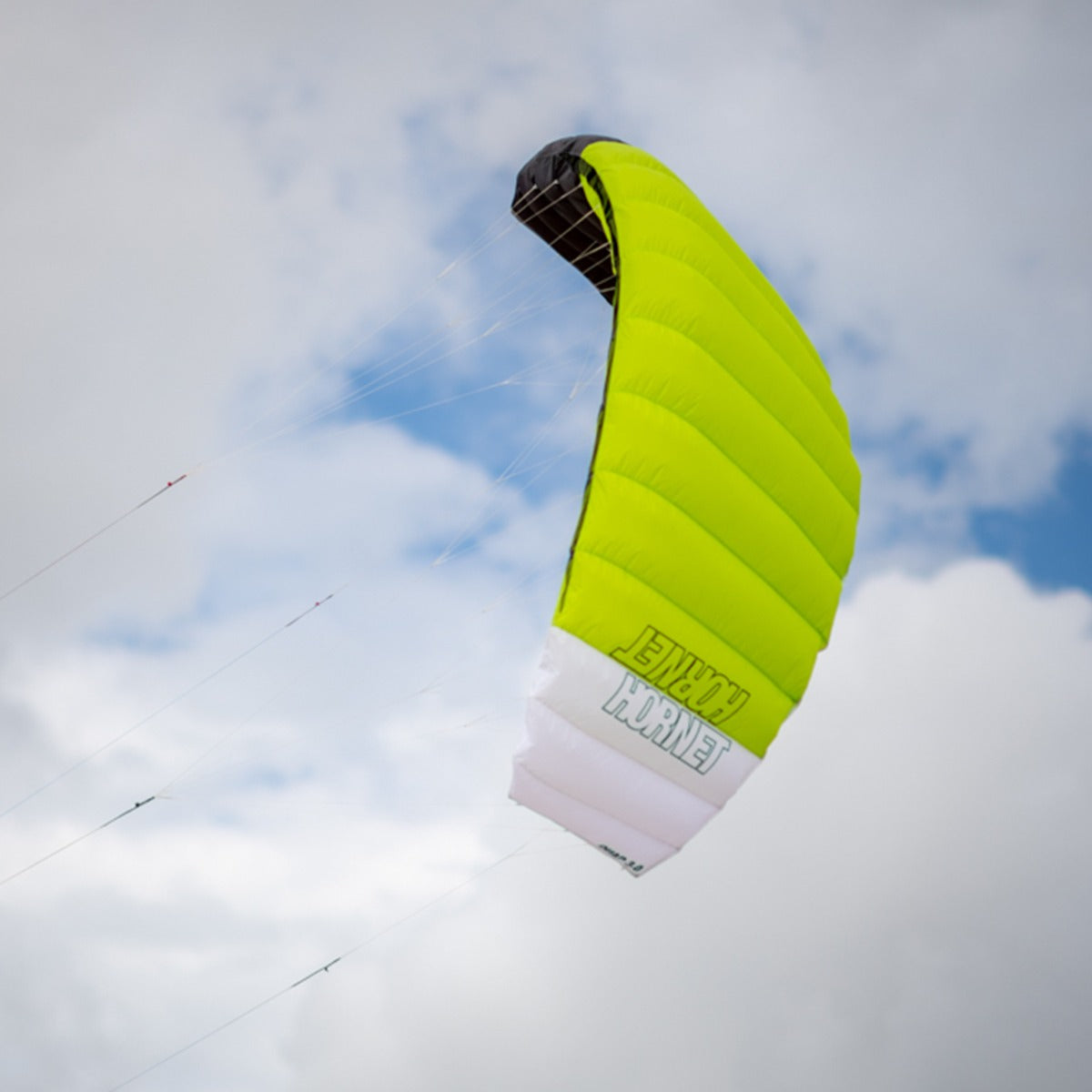 PLKB Hornet Lenkmatte 4 Leiner | 4 Leinen Lenkdrachen mit Handles und Kite Killer Powerkite flugfertig | verschiedene Größen