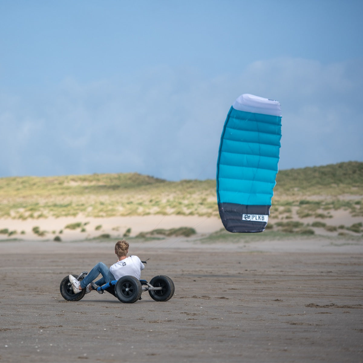 PLKB Hornet Lenkmatte 4 Leiner | 4 Leinen Lenkdrachen mit Handles und Kite Killer Powerkite flugfertig | verschiedene Größen