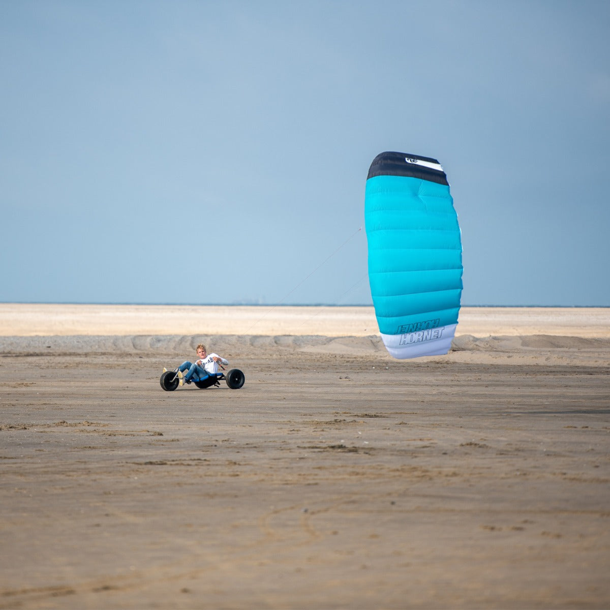 PLKB Hornet Lenkmatte 4 Leiner | 4 Leinen Lenkdrachen mit Handles und Kite Killer Powerkite flugfertig | verschiedene Größen