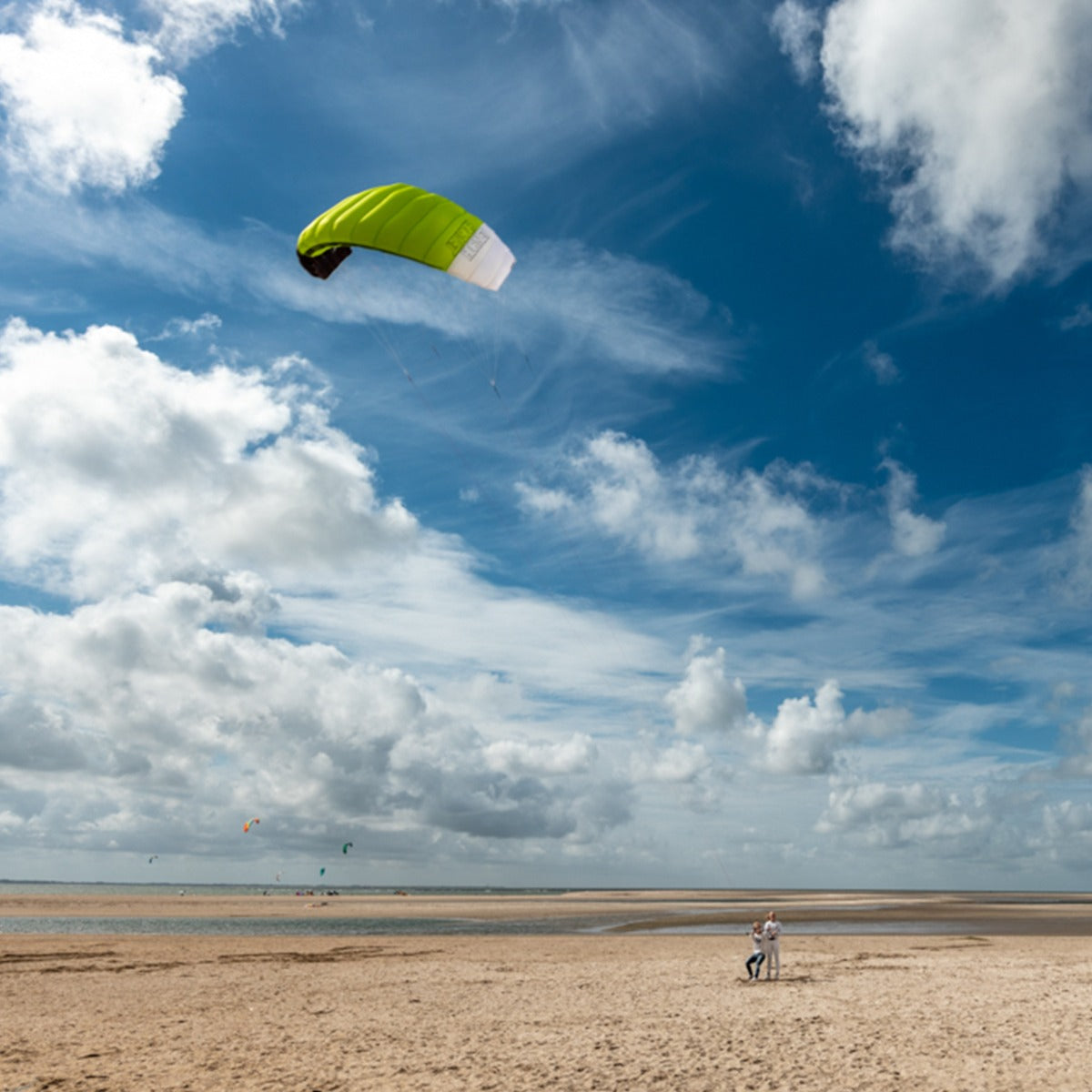 PLKB Hornet Lenkmatte 4 Leiner | 4 Leinen Lenkdrachen mit Controlbar und Kite Killer Powerkite flugfertig | verschiedene Größen
