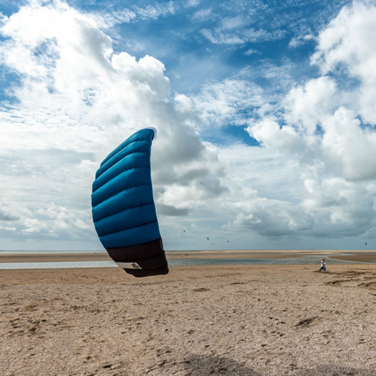 PLKB Hornet Lenkmatte 4 Leiner | 4 Leinen Lenkdrachen mit Controlbar und Kite Killer Powerkite flugfertig | verschiedene Größen