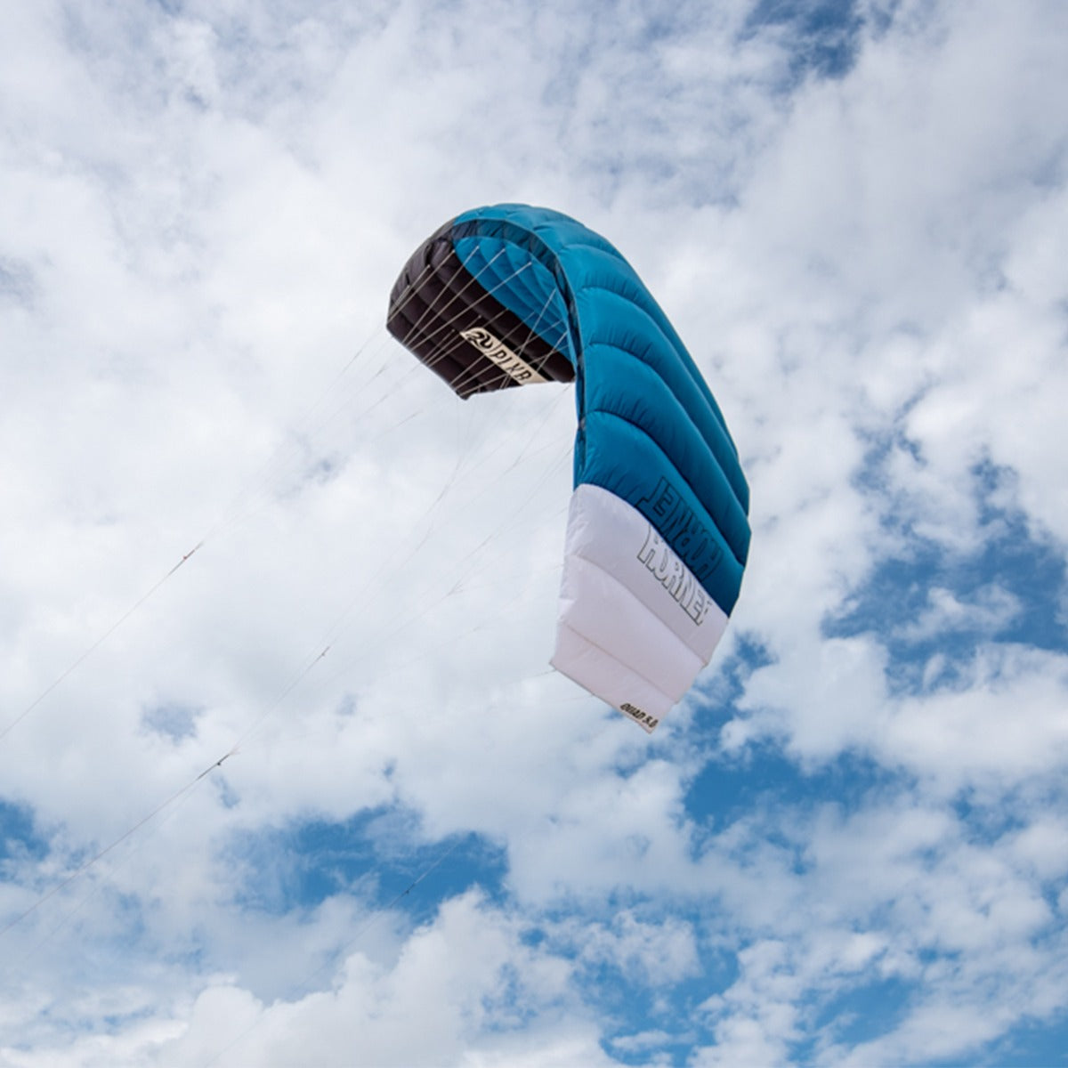 PLKB Hornet Lenkmatte 4 Leiner | 4 Leinen Lenkdrachen mit Controlbar und Kite Killer Powerkite flugfertig | verschiedene Größen