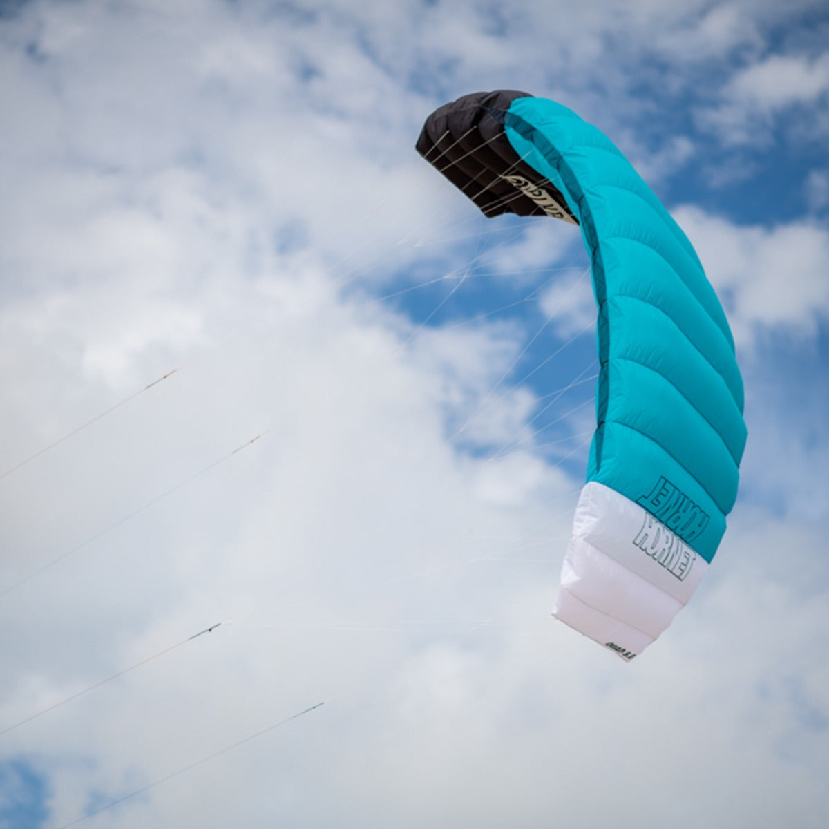 PLKB Hornet Lenkmatte 4 Leiner | 4 Leinen Lenkdrachen mit Controlbar und Kite Killer Powerkite flugfertig | verschiedene Größen
