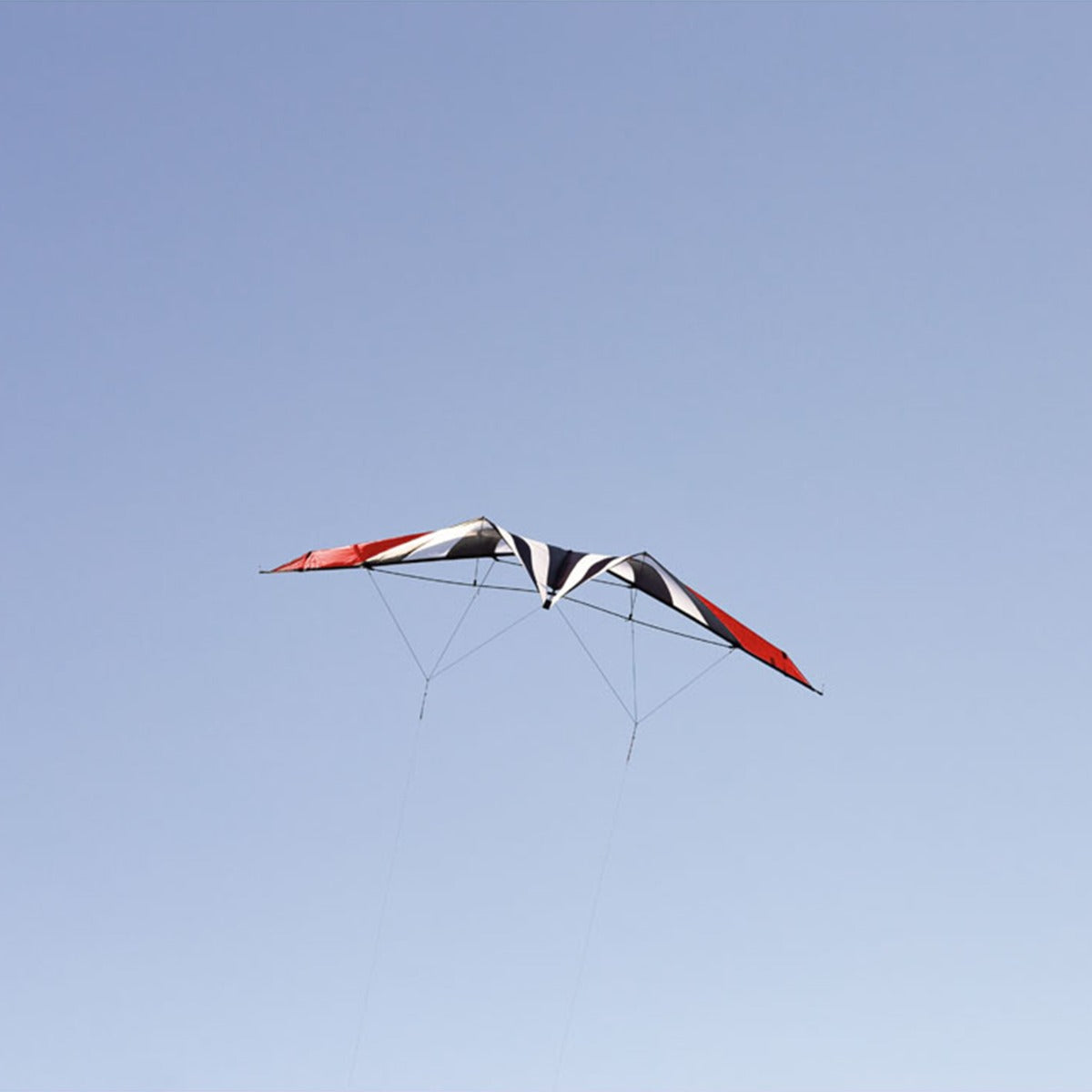 HQ Lenkdrachen HQ Fellow 250 cm Trick & Competition Drachen