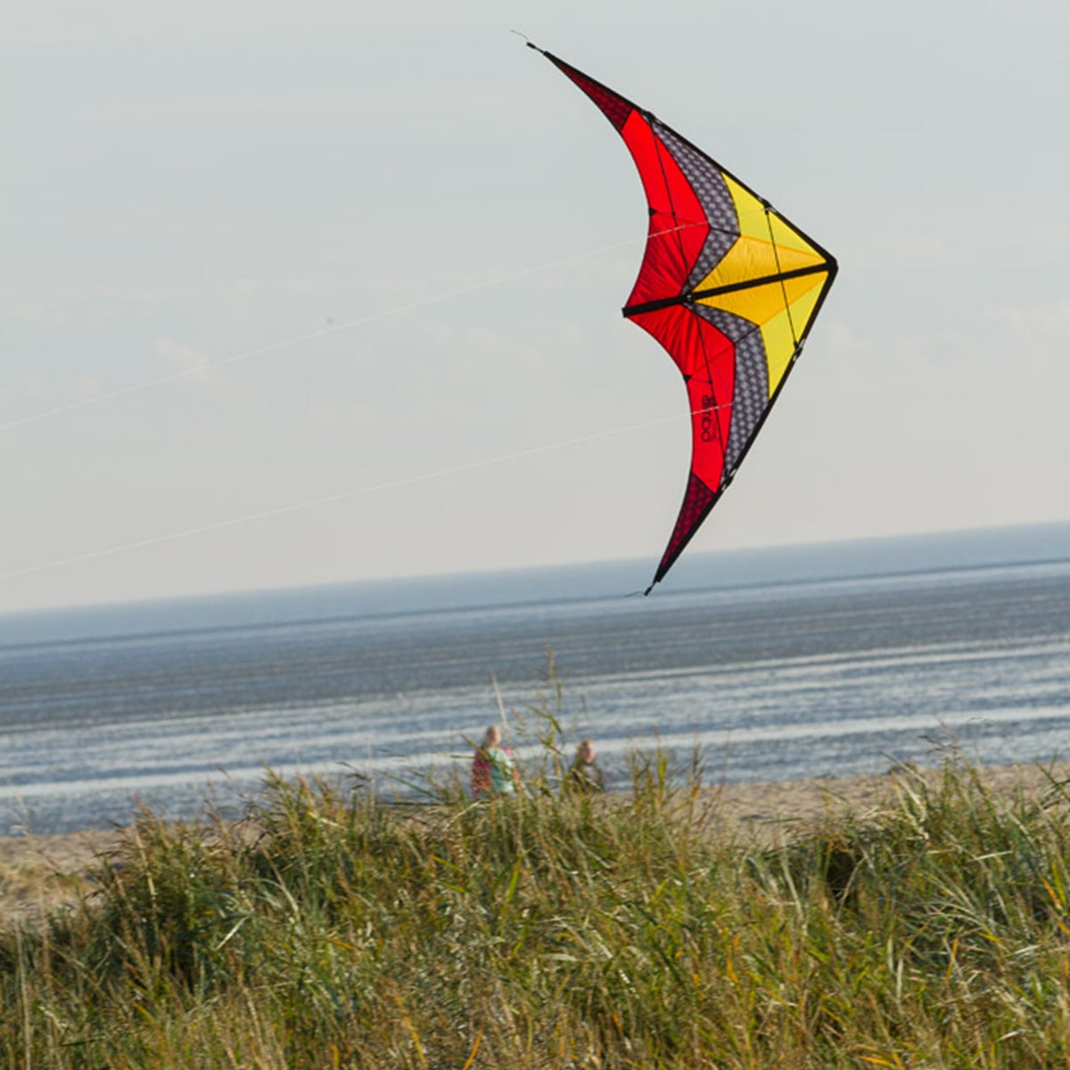 HQ Lenkdrachen HQ Limbo II Lava Allround Drachen