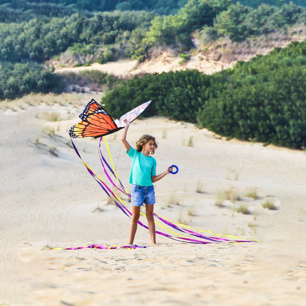 HQ Kinderdrachen Einleiner Drachen HQ Butterfly Kite Monarch L Schmetterling Flugdrache