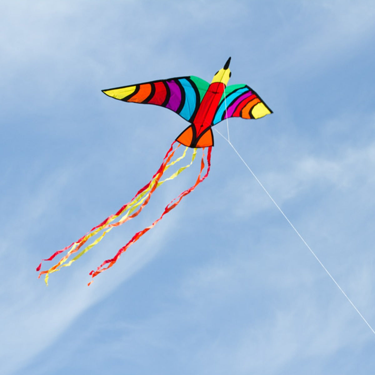 HQ Kinderdrachen Einleiner Drachen HQ Tropical Bird 150 cm Flugdrache