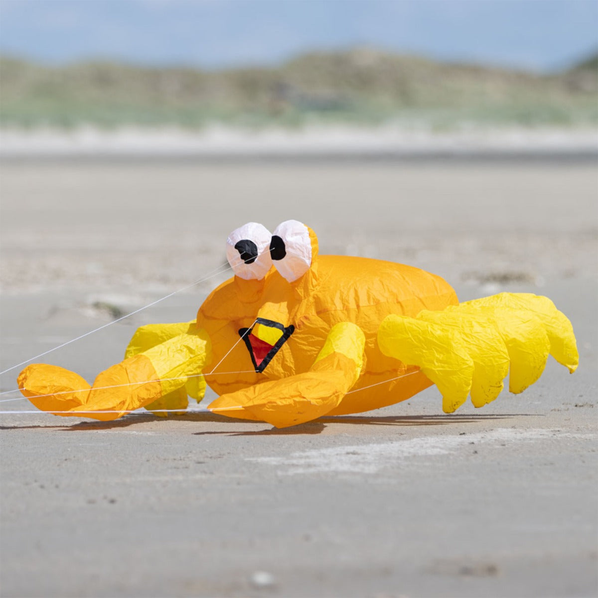 HQ Bodenwindspiel HQ Bouncing Buddy Billy the Crab bunte Windspiele für den Garten oder Strand