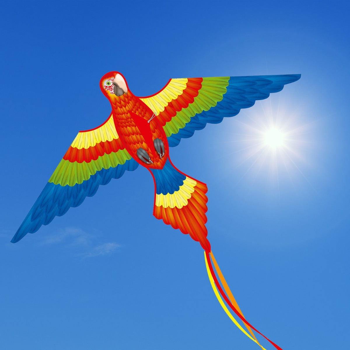 HQ Kinderdrachen Einleiner Drachen HQ Parrot Kite 152 cm Flugdrachen