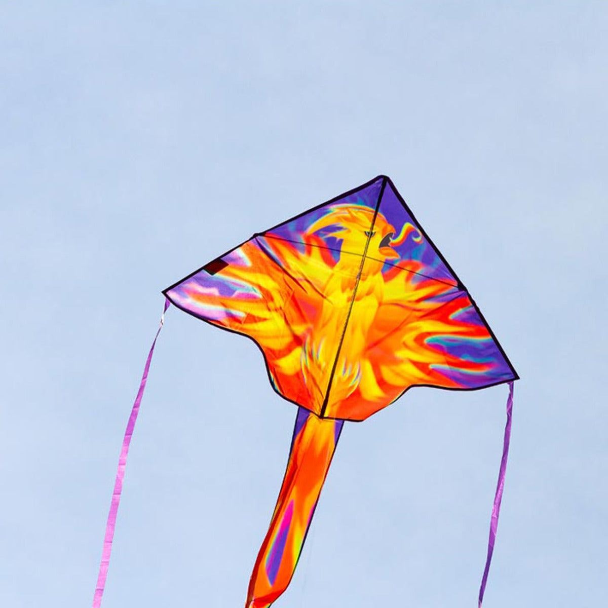 HQ Kinderdrachen Einleiner Drachen HQ Simple Flyer Phoenix 120 cm Flugdrachen