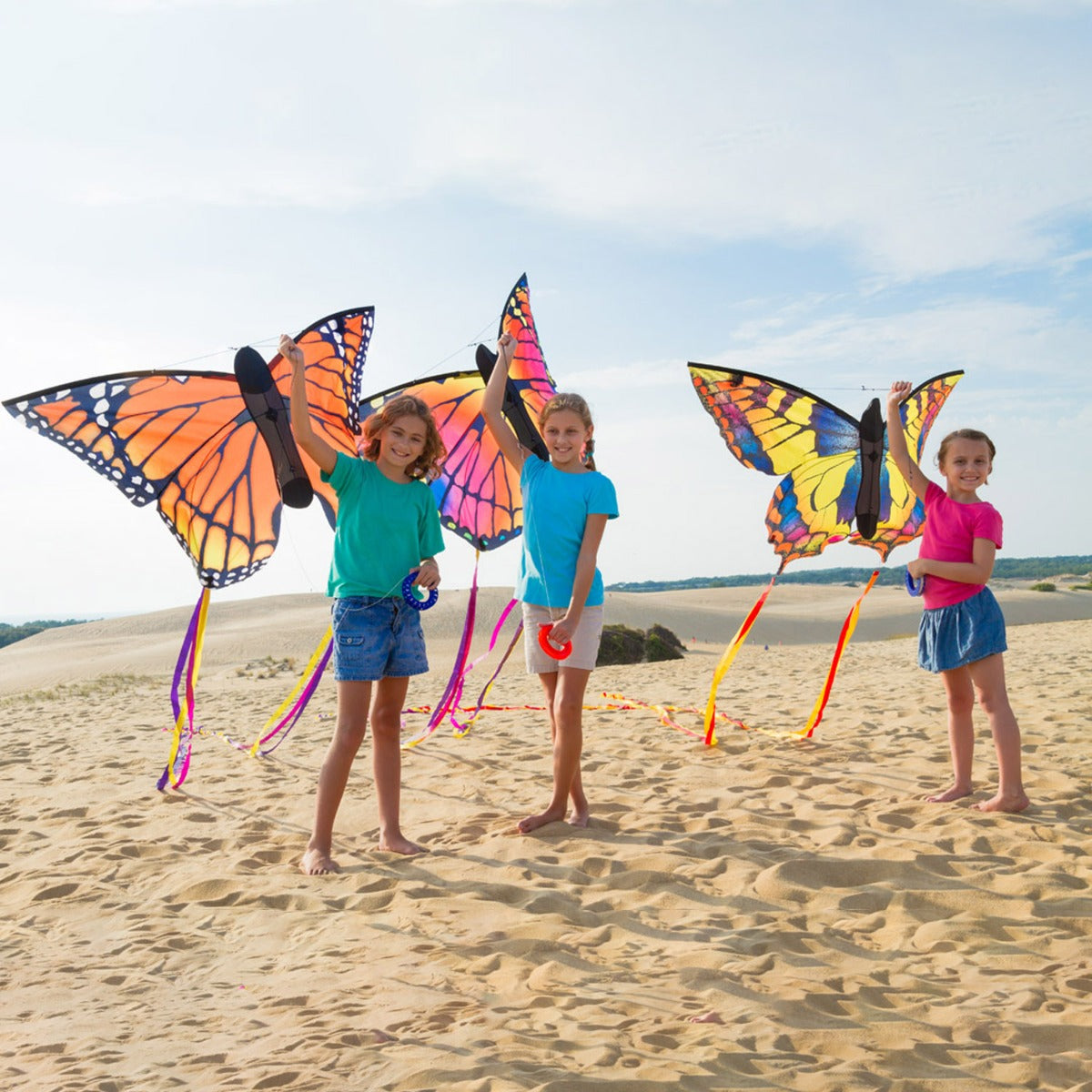 HQ Kinderdrachen Einleiner Drachen HQ Butterfly Kite Swallowtail L Schmetterling Flugdrache