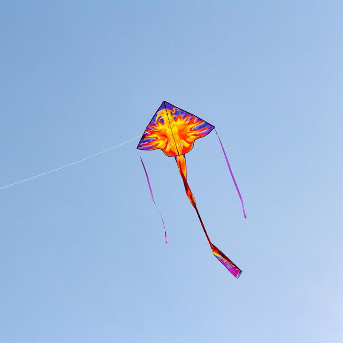 HQ Kinderdrachen Einleiner Drachen HQ Simple Flyer Phoenix 120 cm Flugdrachen