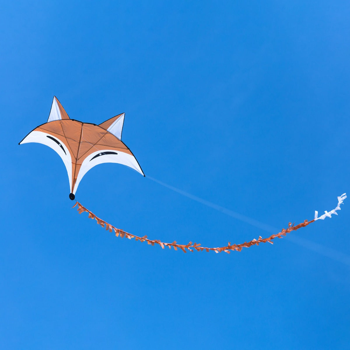 HQ Kinderdrachen Einleiner Drachen HQ Fox Fuchs Kite 145 cm Flugdrache