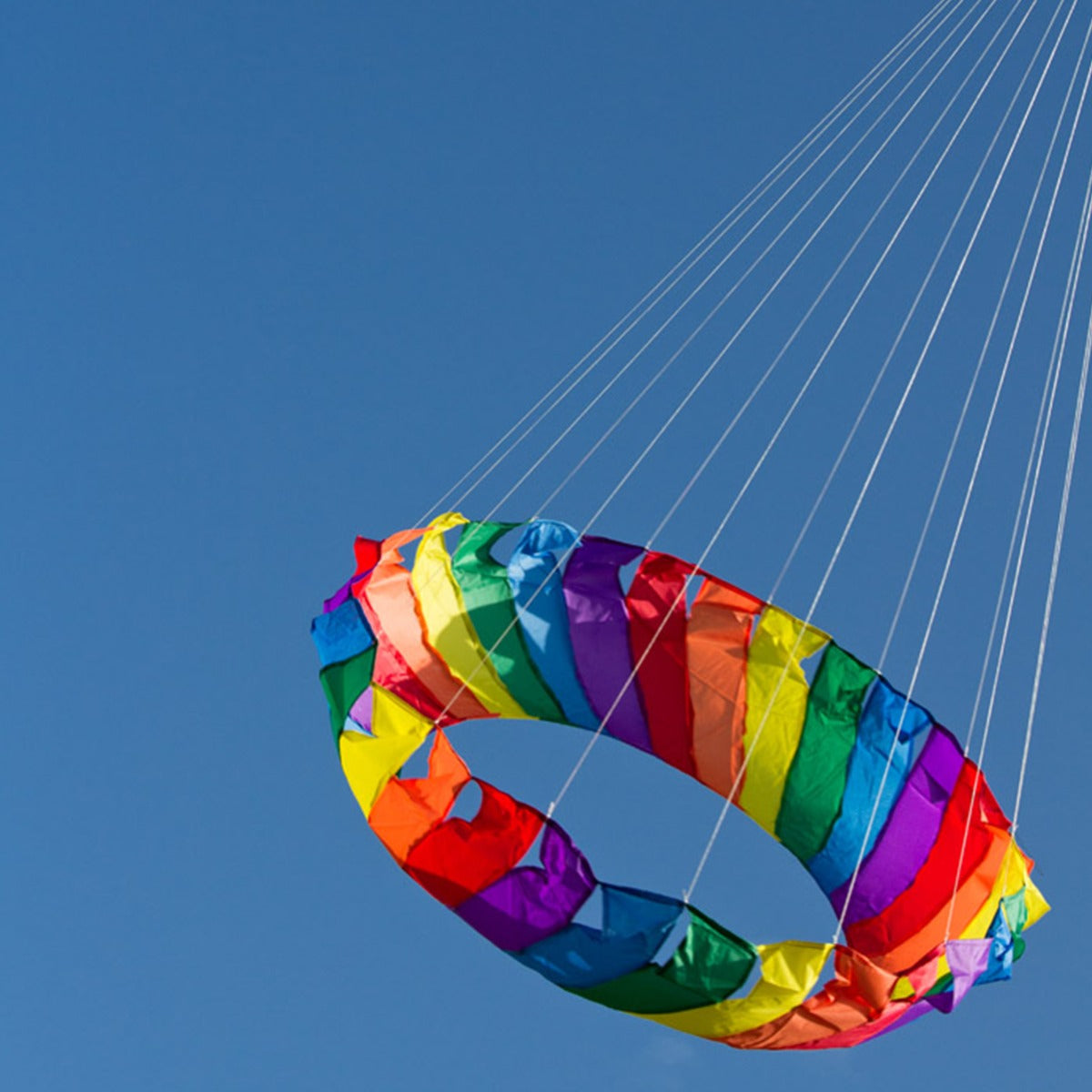 HQ Drachenschwanz HQ Generator 1 m Leinenschmuck Drachen Zubehör