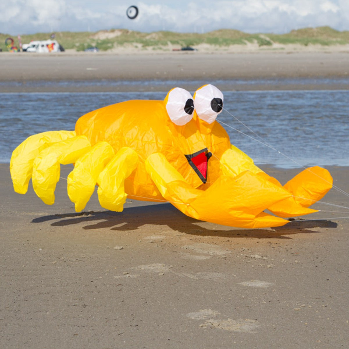 HQ Bodenwindspiel HQ Bouncing Buddy Billy the Crab bunte Windspiele für den Garten oder Strand