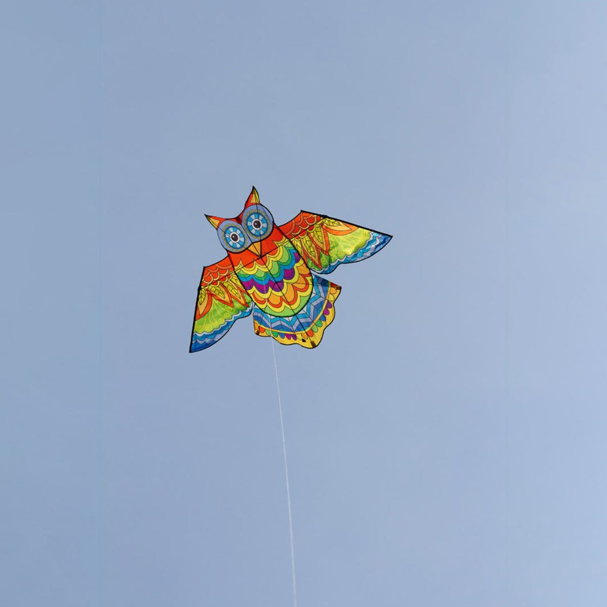 HQ Kinderdrachen Einleiner Drachen HQ Jazzy Owl Eule Kite 140 cm Flugdrache
