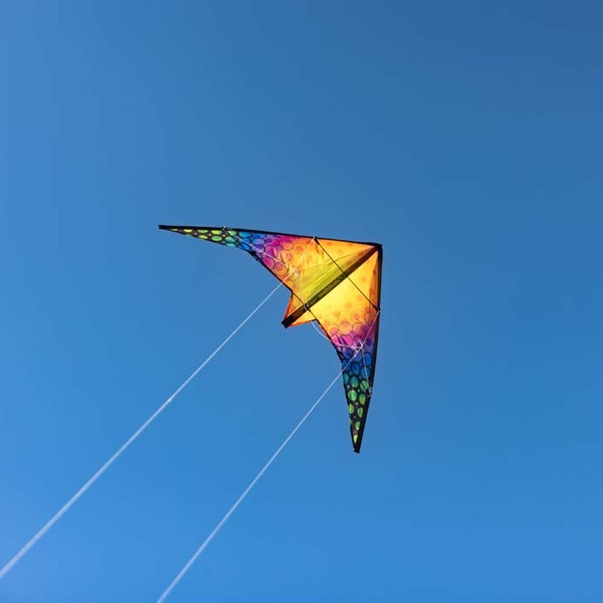 HQ Kinderdrachen Lenkdrachen Drachen HQ Quick Rainbow Bubbles 115 cm Flugdrachen