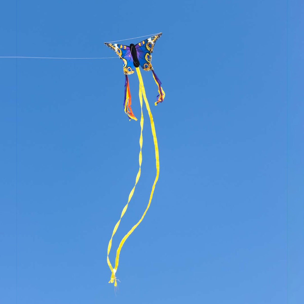 HQ Kinderdrachen Einleiner Drachen HQ Butterfly Kite Buckeye R Schmetterling Flugdrache
