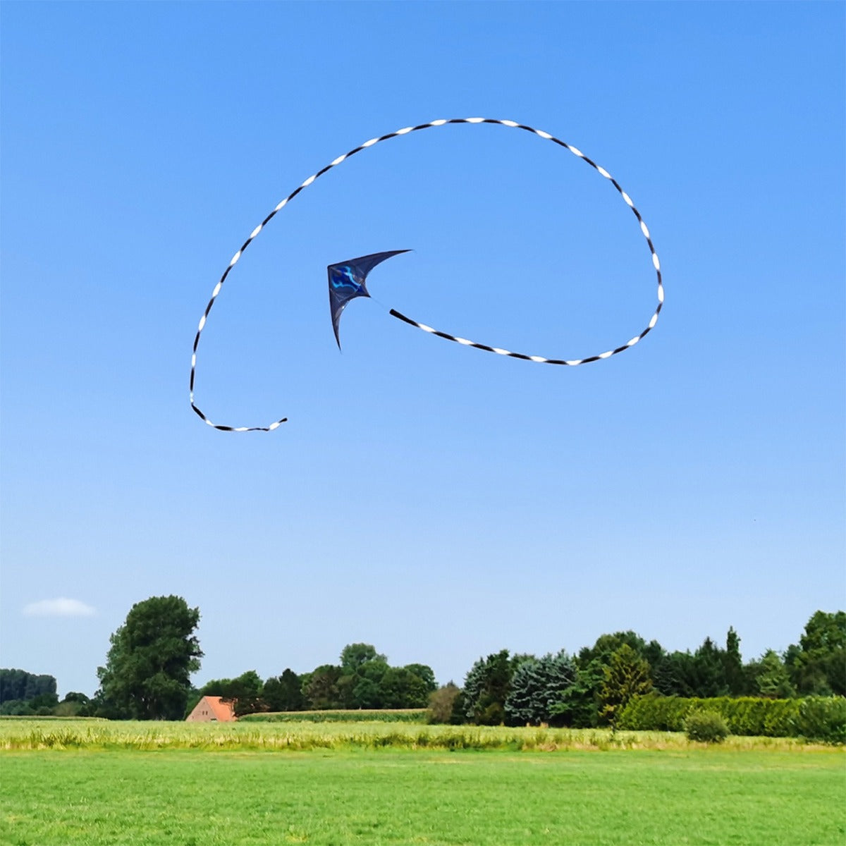 HQ Drachenschwanz HQ Tube Tail Black & White Gradient 24 m Leinenschmuck Drachenzubehör