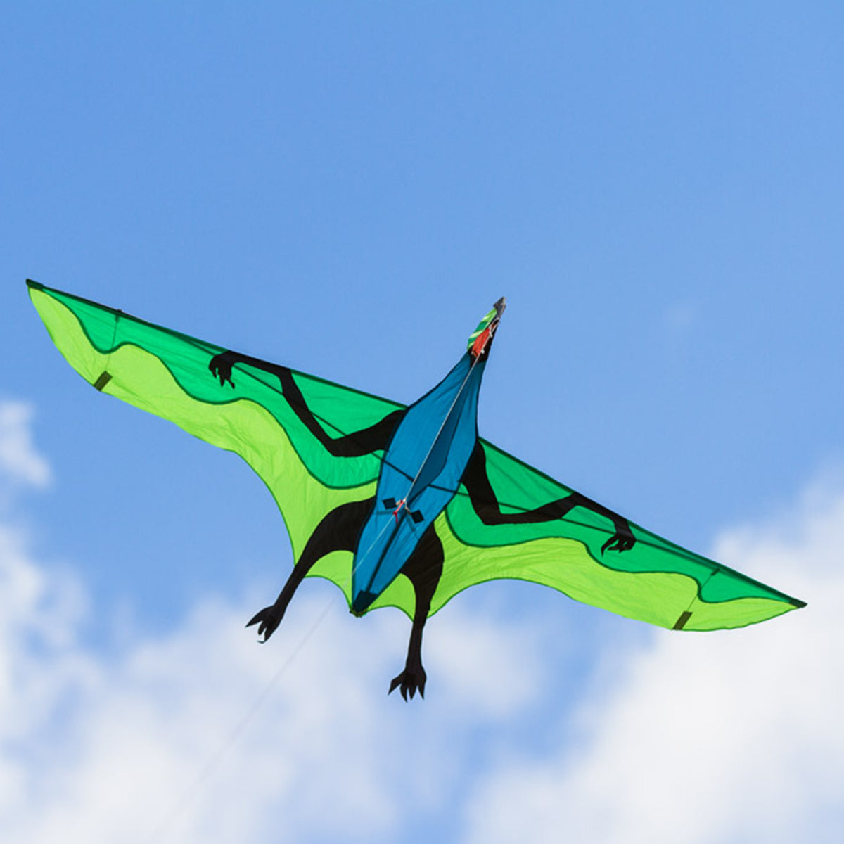 HQ Kinderdrachen Einleiner Drachen HQ Flying 3D Dinosaurier Flugdrachen
