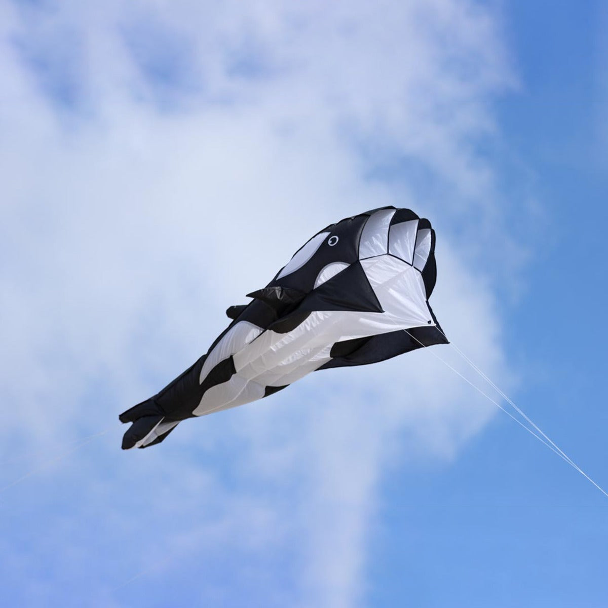HQ Kinderdrachen Einleiner Drachen HQ Parafoil Kite Orca 200 cm Flugdrache