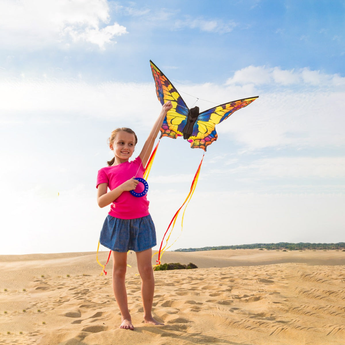 HQ Kinderdrachen Einleiner Drachen HQ Butterfly Kite Swallowtail L Schmetterling Flugdrache