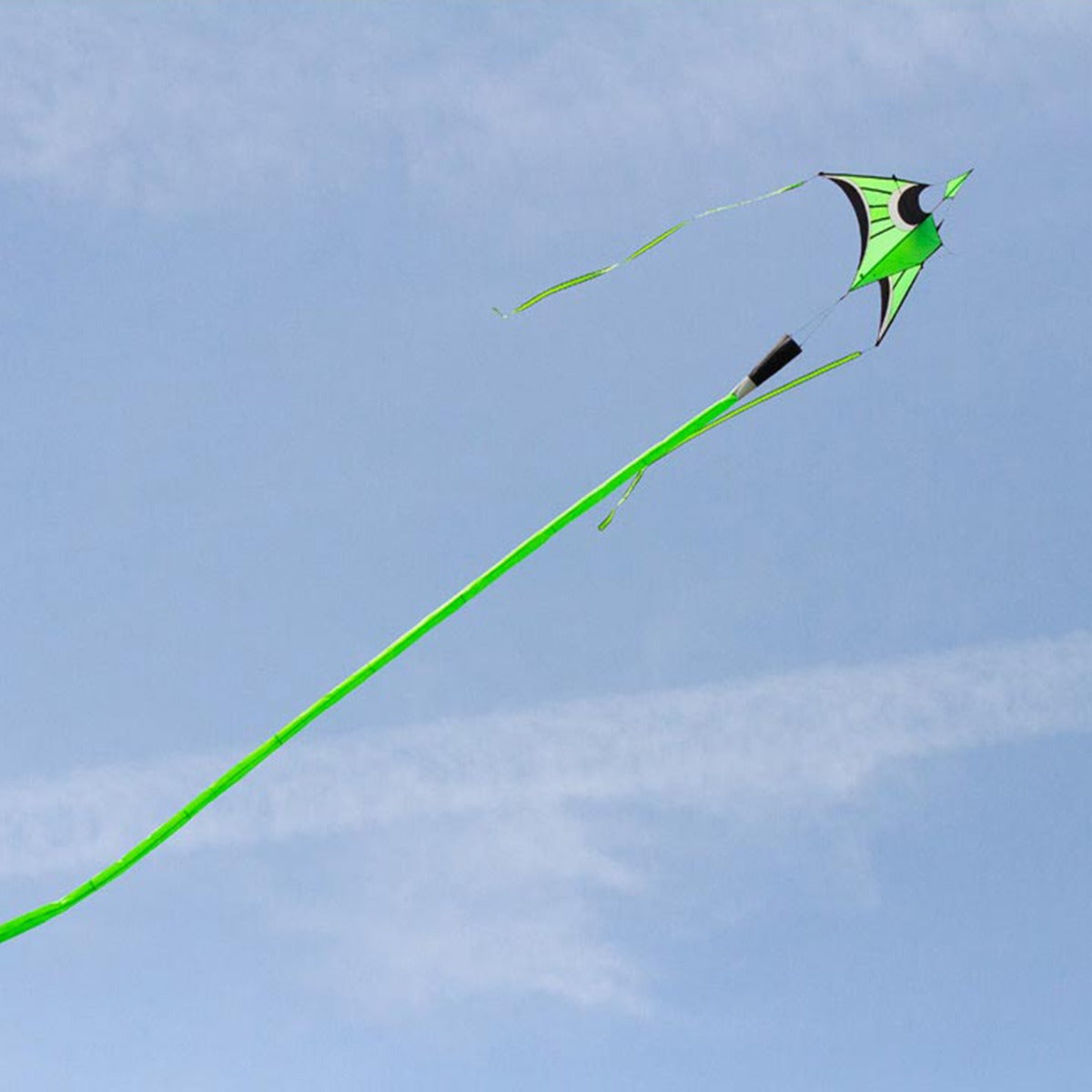 HQ Kinderdrachen Einleiner Drachen HQ Hoffmanns Canard Delta Lime Flugdrache