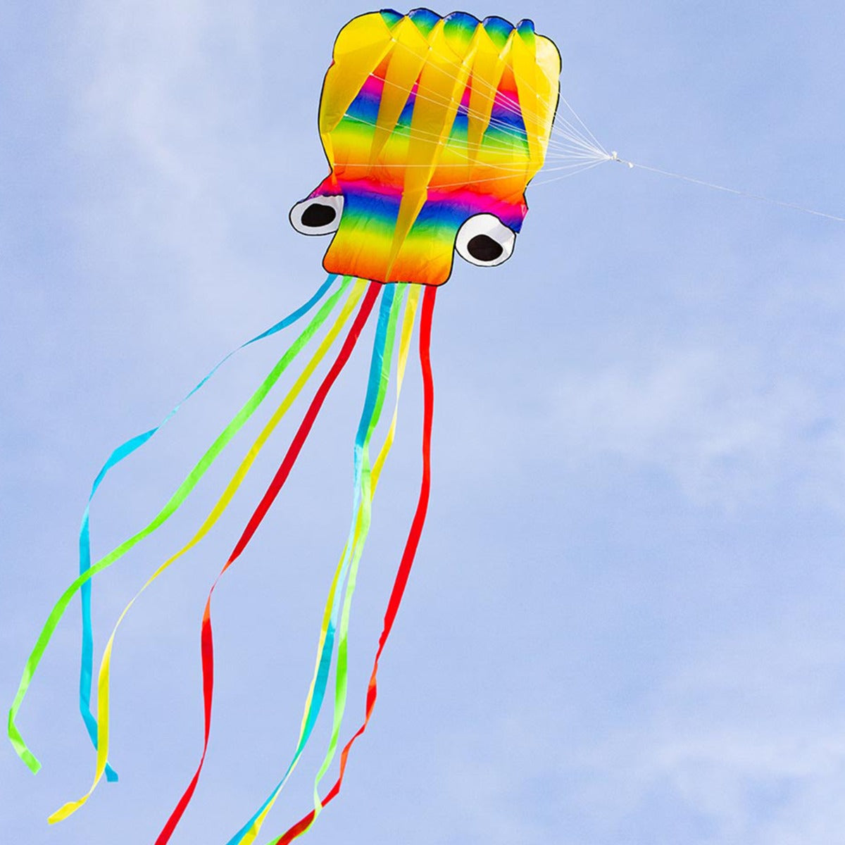 HQ Kinderdrachen Einleiner Drachen HQ Rainbow Octopus Flugdrachen