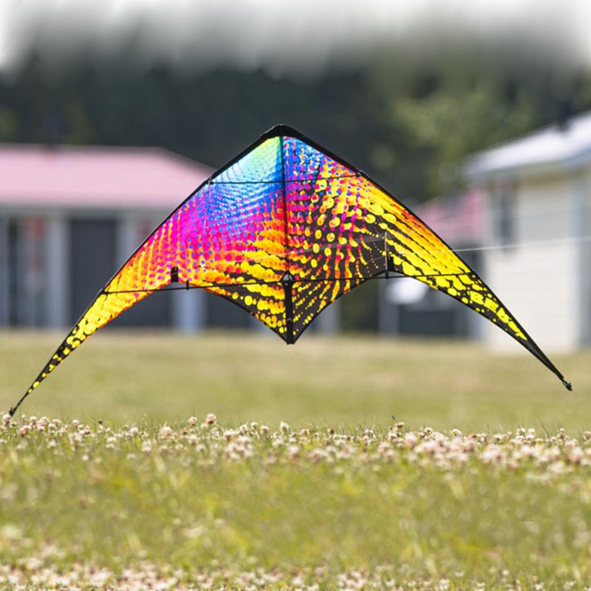 HQ Lenkdrachen HQ Bebop Vibe Kinderdrachen Drachen Allround Flugdrachen