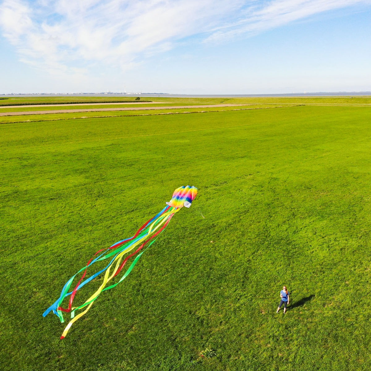 HQ Kinderdrachen Einleiner Drachen HQ Rainbow Octopus Flugdrachen