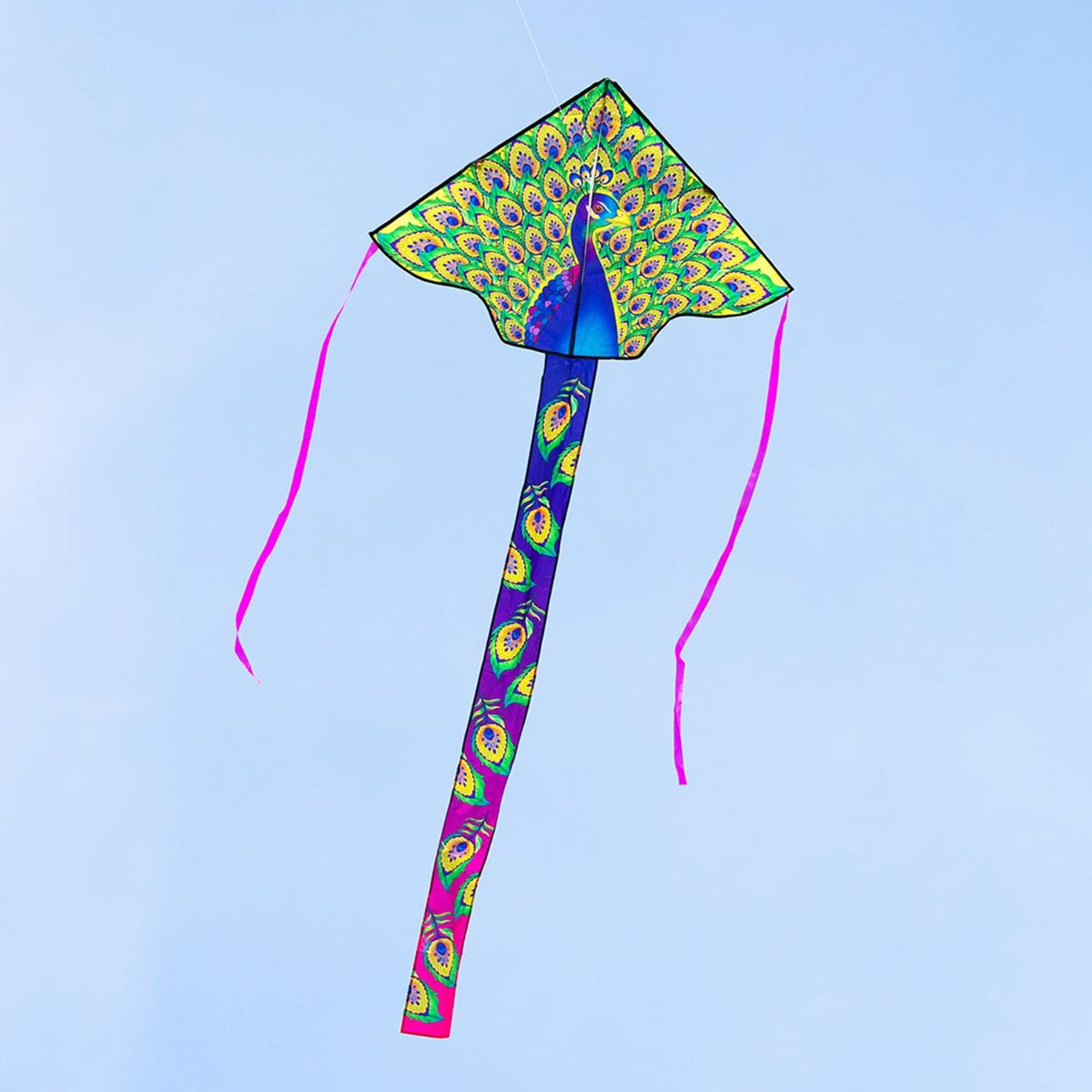 HQ Kinderdrachen Einleiner Drachen HQ Simple Flyer Peacock 120 cm Flugdrachen
