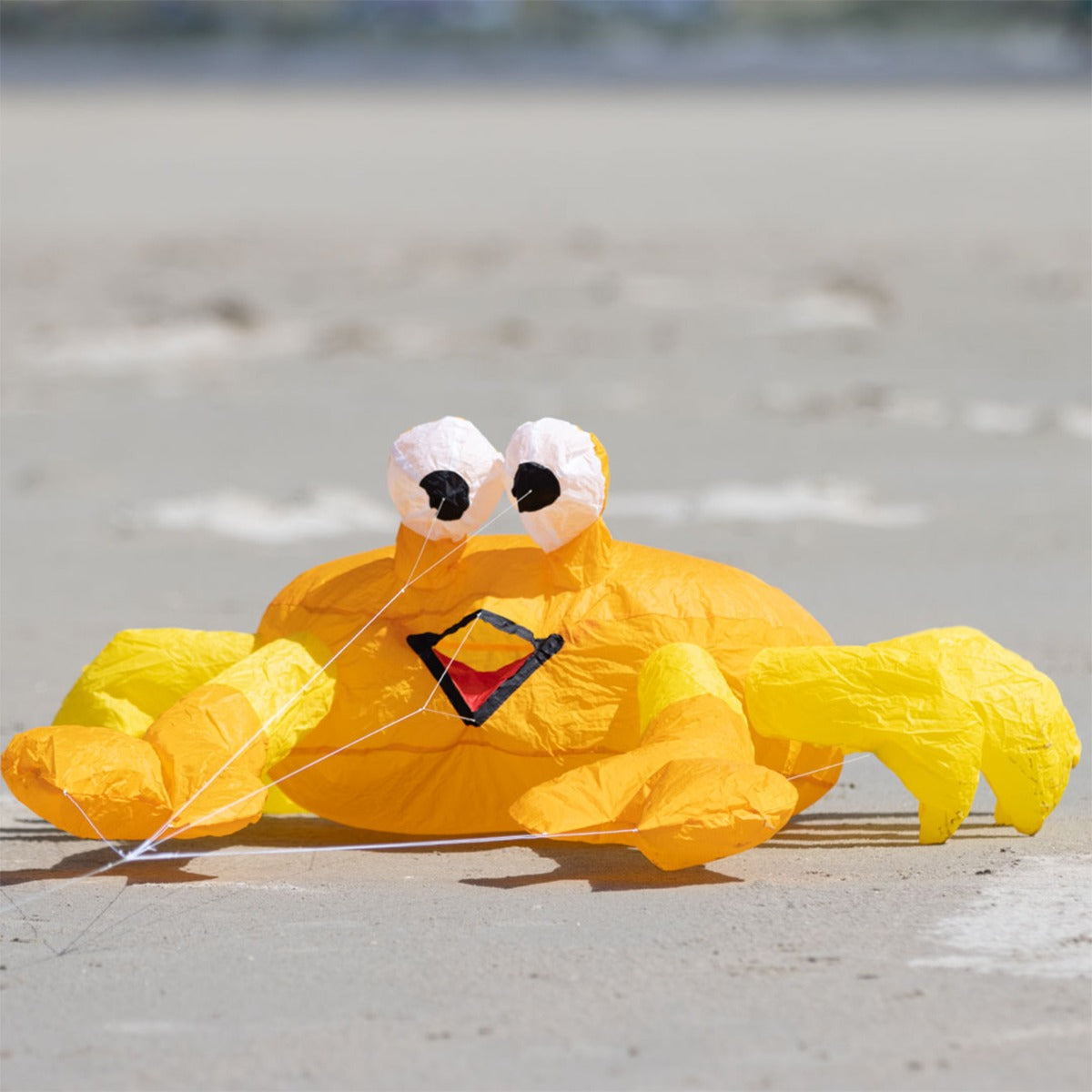 HQ Bodenwindspiel HQ Bouncing Buddy Billy the Crab bunte Windspiele für den Garten oder Strand